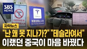 [자막뉴스] 테슬라