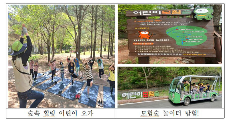 어린이날 행사 (사진=강원도 자연환경연구공원 제공, 연합뉴스)