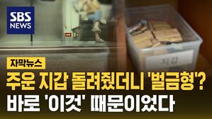 [자막뉴스] 지갑 습득