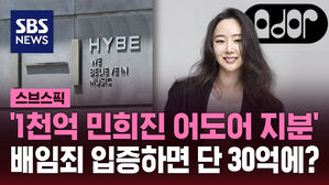 '1천억 민희진 어도어 지분' 배임죄 입증하면 단 30억에?