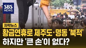 [자막뉴스] 황금연휴