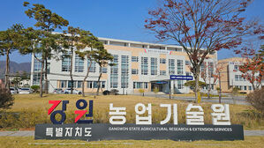 강원 산지 새벽 서리&middot;얼음 예보&hellip;"농작물 주의 당부"