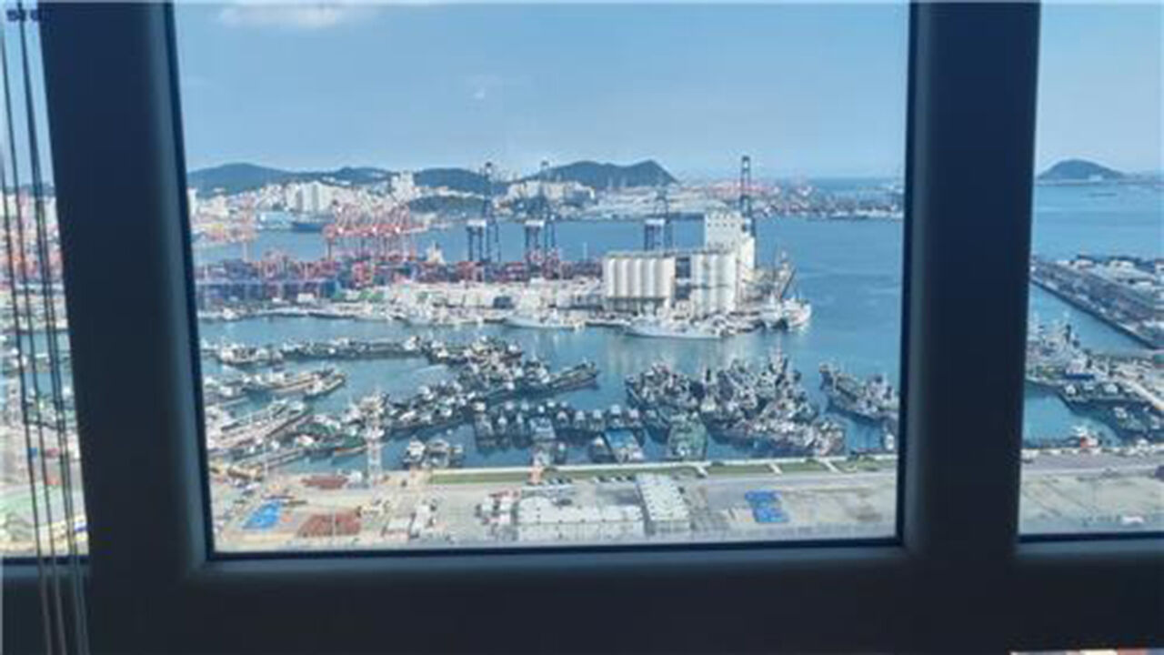 사무실에서 내려다보이는 부산항