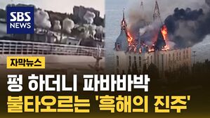 [자막뉴스] 가리지 않고 다 쏴댔다&hellip;불타오르는 '흑해의 진주'