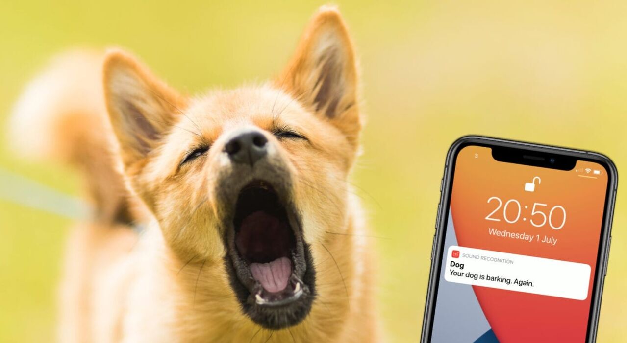 소리 인식 기능 (출처 : https://www.cultofmac.com/716092/enable-customize-sound-recognition-ios-14/)
