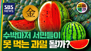 [김밥경제] 더위잡는 ‘수박’ 올여름 가격은? ‘금사과’ 이어 수박도 금값 될까?
