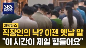 [자막뉴스] 점심값