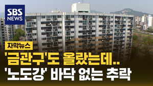 '금관구'도 올랐는데.. '노도강' 바닥 없는 추락