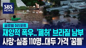 [글로벌D리포트] 110명 넘은 브라질 폭우 피해&hellip;대두 가격도 '꿈틀'
