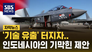[자막뉴스] 'KF-21 기술 유출' 터진 와중에&hellip;"분담금 덜 내겠다"는 인도네시아