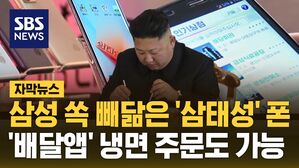 [자막뉴스] 삼성 쏙 빼닮은 북한 '삼태성' 폰&hellip;'배달앱' 냉면 주문도 가능