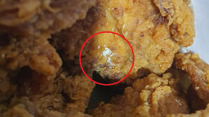비닐팩 뜯자 파리 꿈틀, 알까지?&hellip;"치킨 트라우마 생겼다"