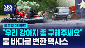 [글로벌D리포트] "우리 강아지 좀 구해주세요"&hellip;물 바다로 변한 텍사스