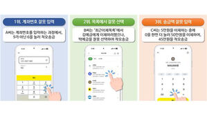 착오송금 67% '계좌번호 잘못 입력'&hellip;금융위, 이체 시스템 개선