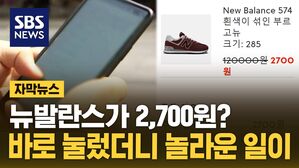 [자막뉴스] 뉴발란스가 2,700원?&hellip;페북&middot;인스타 타고 들어갔더니