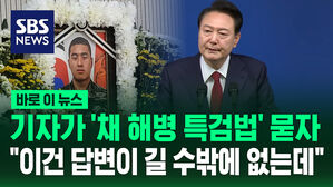 기자가 '채 해병 특검법' 묻자 "이건 답변이 길 수밖에 없는데"