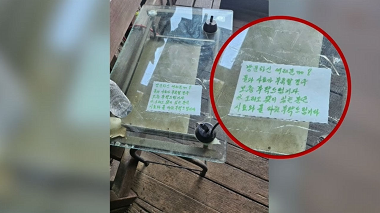 길냥이집으로 변한 등산로 쉼터