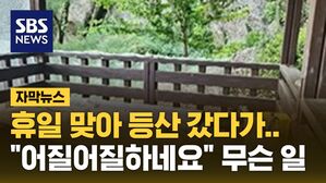 [자막뉴스] 휴일 맞아 등산 갔다가&hellip;"어질어질하네요" 무슨 일