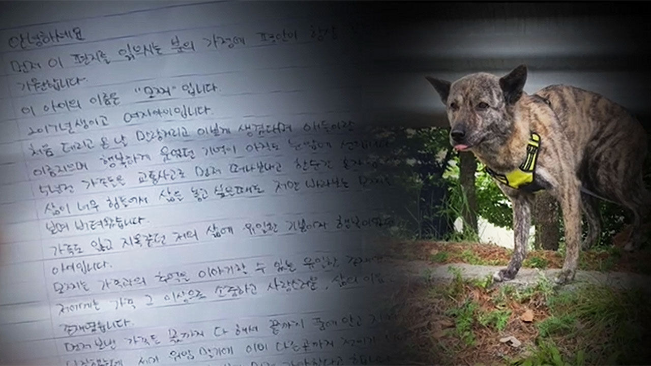 한 동물보호단체가 SNS 통해 공개한 유기견 모찌 사진과 시한부 견주 편지