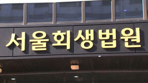 법원, 대흥건설 회생절차 개시&hellip;"자금 유동성 악화"