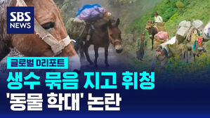 [글로벌D리포트] 생수 묶음 지고 휘청&hellip;'동물 학대' 논란