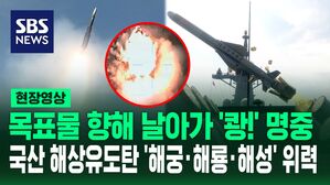 [영상] 목표물 향해 날아가서 '쾅!' 명중&hellip;K-해상 유도무기 삼총사 '해궁&middot;해룡&middot;해성'이 떴다