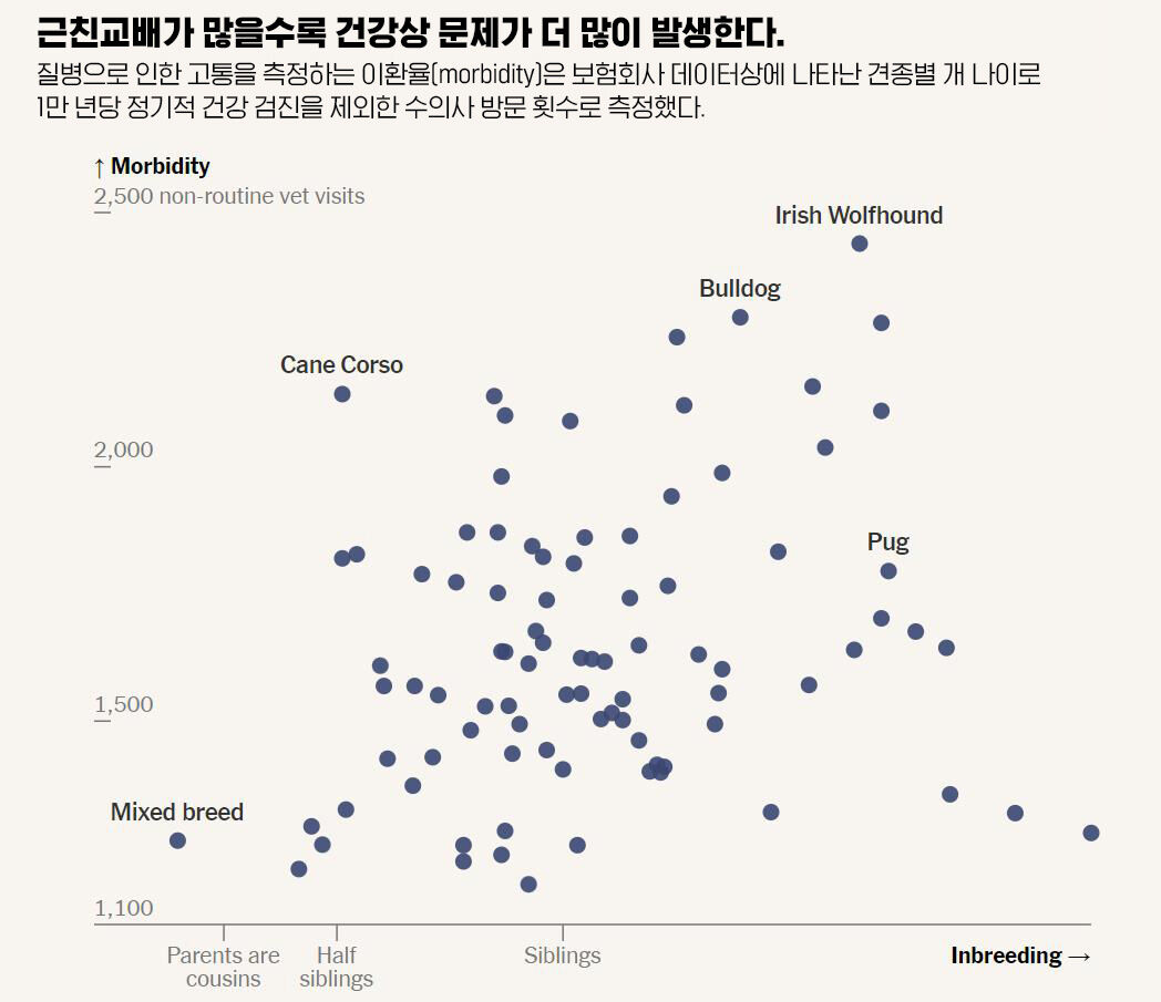 스프 nyt 번역