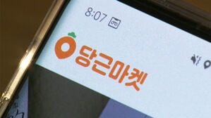 연매출 4700만 원&hellip;종합소득세 안내받은 '당근마켓' 유저