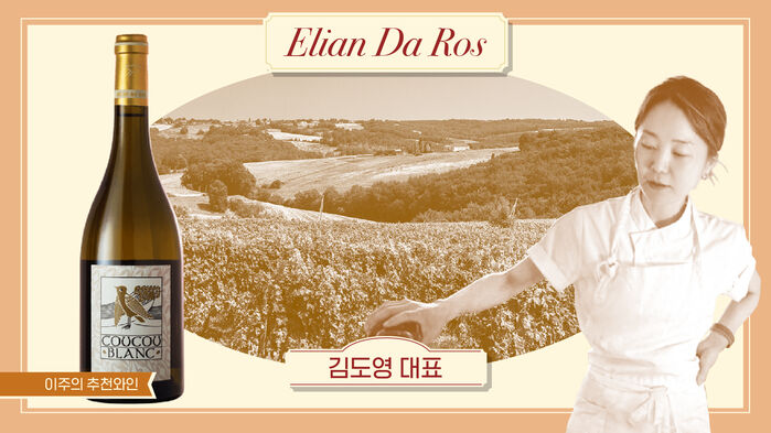김도영 와인의슾