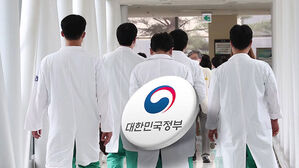 "의료개혁 큰 산 넘어"&hellip;"사직 &middot; 휴진 고수"