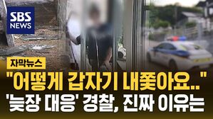 [자막뉴스] 늦장 경찰