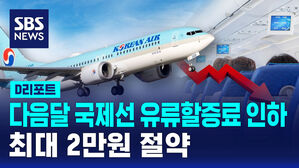 [D리포트] 다음 달 국제선 유류할증료 한 단계 인하&hellip;최대 2만 원가량 '항공비용 절약'