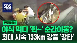 [영상] 야식 먹다 태풍급 강풍에 '봉변'&hellip;날아가고, 쓰러지고 중국 허난성 지역 피해 속출