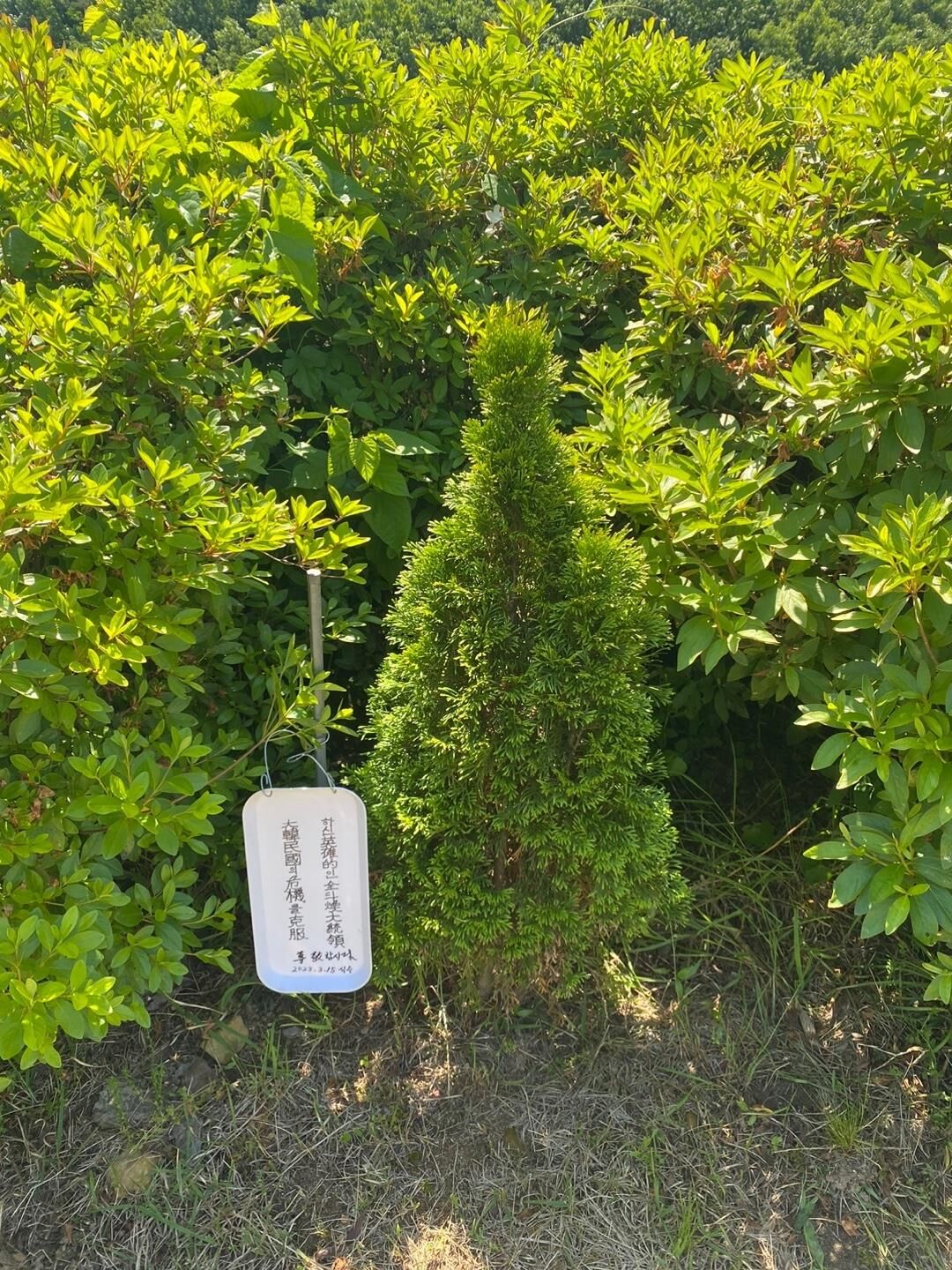 고 전두환 생가에서 발견된 팻말 (사진=경남 합천군 제공, 연합뉴스)