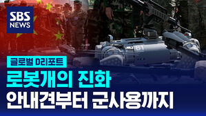 [글로벌D리포트] 로봇개의 진화&hellip;안내견부터 군사용까지