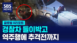 [글로벌D리포트] 경찰차 들이박고 역주행에 추격전까지