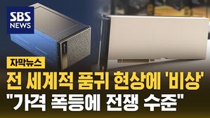[자막뉴스] 그래픽카드