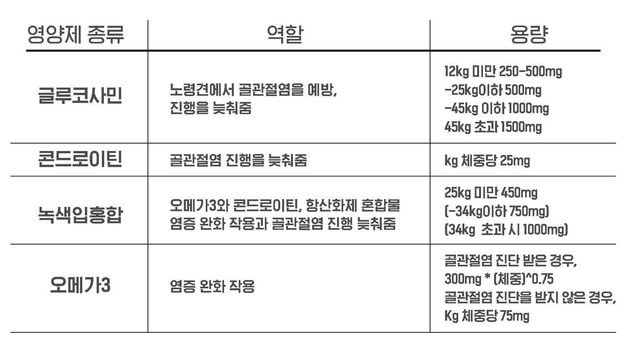 김정민 반려동물 삐뽀삐뽀