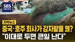 [자막뉴스] 강원도 산골