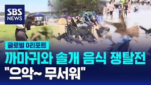 [글로벌D리포트] 까마귀와 솔개 음식 쟁탈전&hellip;"무서워"