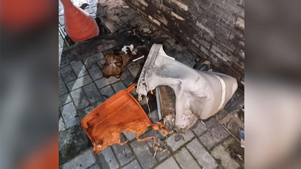 경기 용인시 한 주택가 골목, 무심코 버린 담배꽁초에 녹아버린 차량 범퍼