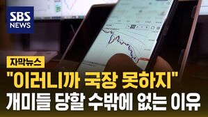[자막뉴스] 환매조건부 주식매매