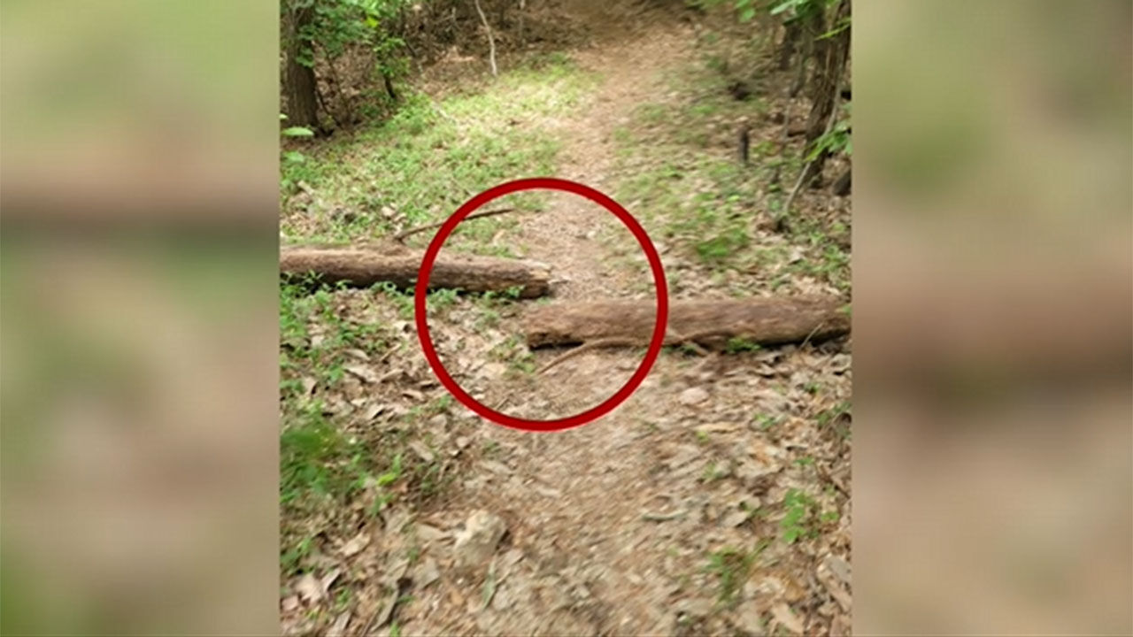동네 뒷산 산악자전거 트랙 논란