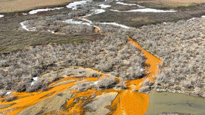 녹슨 듯 주황빛 된 알래스카 강, 무슨 일&hellip;"기후변화 직격탄"