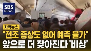[자막뉴스] 돌발 난기류