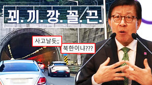 [영상] 부산시장이 외친 '꾀끼깡꼴끈', 터널 입구에 '뜬금' 설치됐다...해명에도 경악한 시민들 "북한이냐" "혈세 낭비"