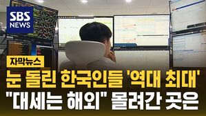 [자막뉴스] 해외 주식 투자