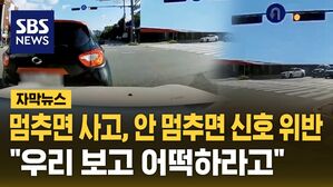 [자막뉴스] 황색등 논란
