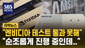 [자막뉴스] "삼성 HBM, 엔비디아 테스트 통과 못 해"&hellip;삼성 "순조롭게 진행 중"