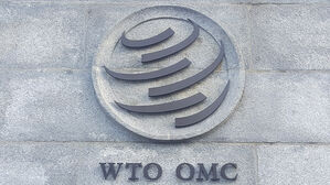'WTO 서비스 국내 규제 규범' 발효&hellip;"서비스 비용 절감"